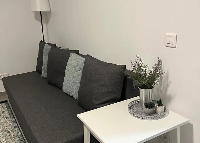 شقة Ris Dublu Universitate, Centrul Vechi